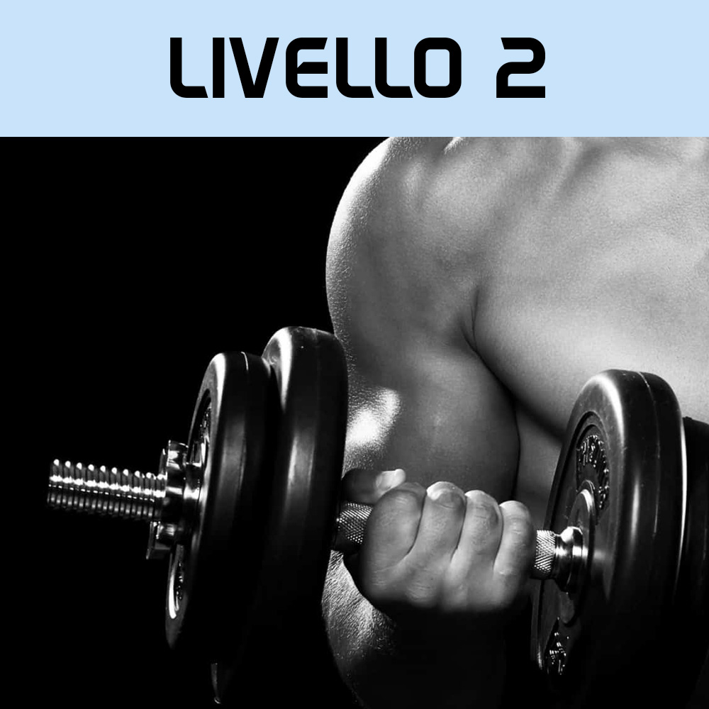 A-U-LP-02 Scheda Di Allenamento Uomo Livello 2